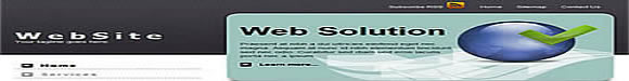 professional website services baja california